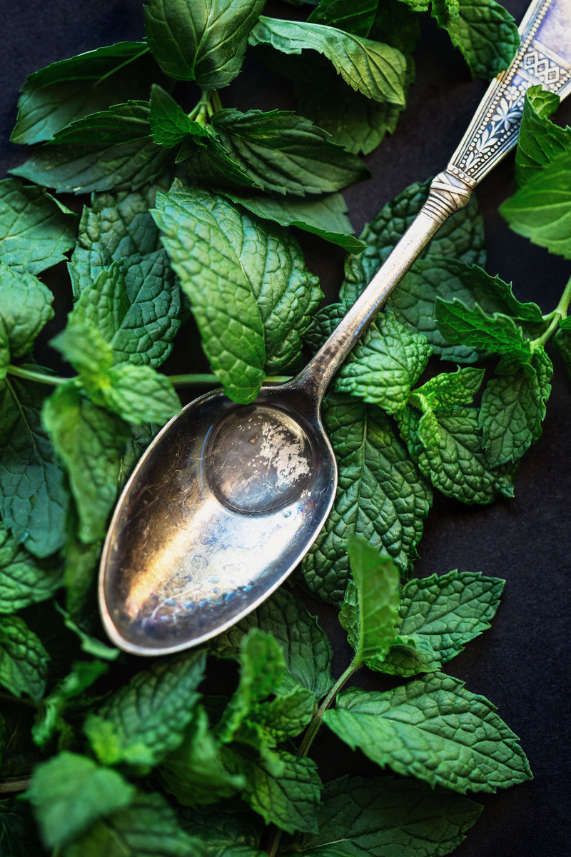 Mint Inspiration Aurelia Aromatica